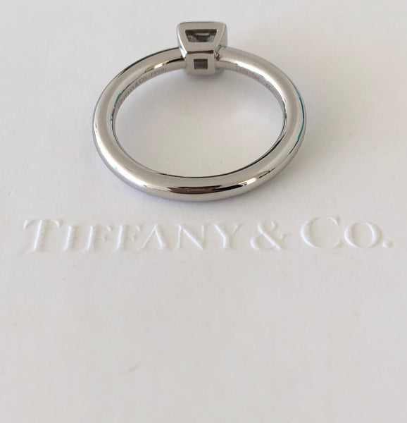 Tiffany & Co. 0.51ct F/VVS2 Princess Cut Diamond Bezet Engagement Ring Platinum